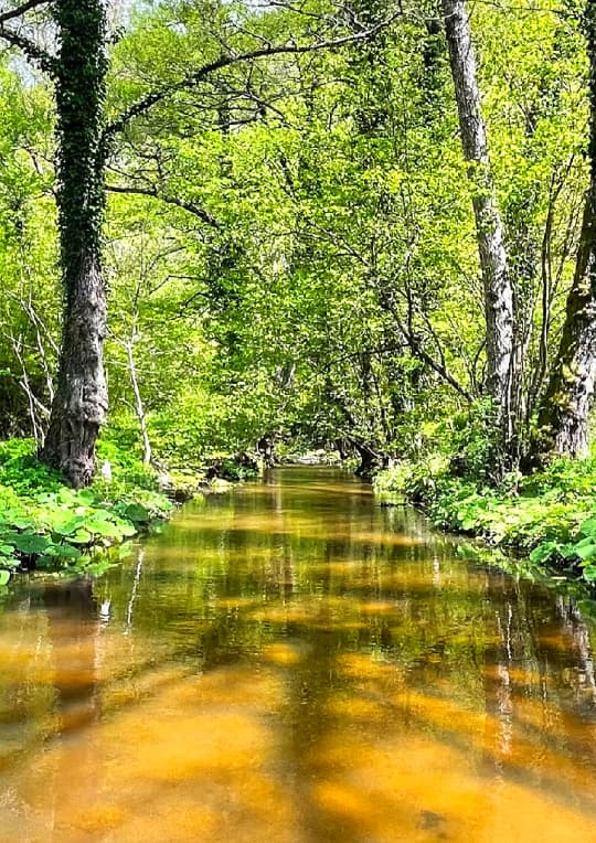 Νευροκόπι / άθληση στη Φύση με το δικό σου ρυθμό!