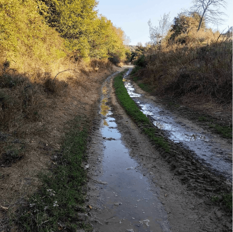 Νευροκόπι / εσύ, η Φύση και κανείς άλλος!