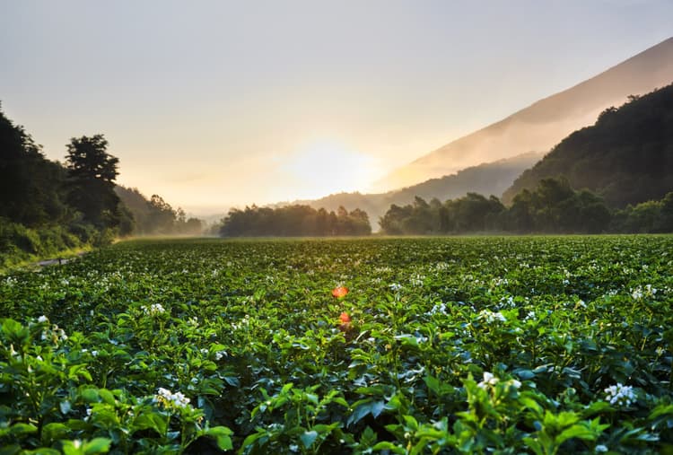 TravelDailyNews: Νευροκόπι: Ο χρόνος και η φύση σε άλλη διάσταση